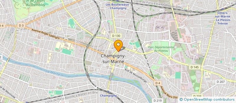 localisation de l'entreprise MONSIEUR TIZIE GNAMIEN à CHAMPIGNY-SUR-MARNE