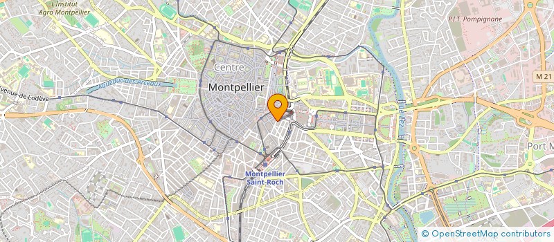 localisation de l'entreprise MONSIEUR TOADER FLOREA à MONTPELLIER