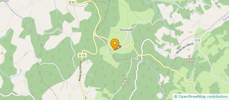 localisation de l'entreprise MONSIEUR TOBY GALLAGHER  CASTELNAU-DE-MONTMIRAL