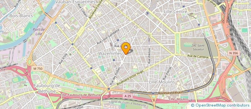 localisation de l'entreprise MONSIEUR TOHAMI BOUCHEFA à LILLE