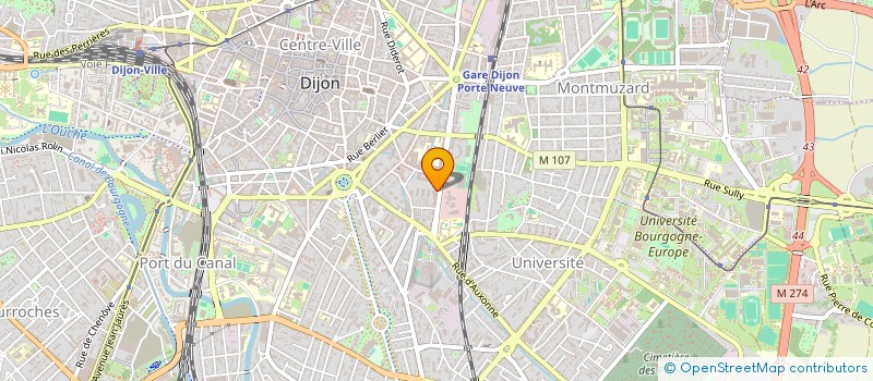 localisation de l'entreprise MONSIEUR TOM ANDRE  DIJON