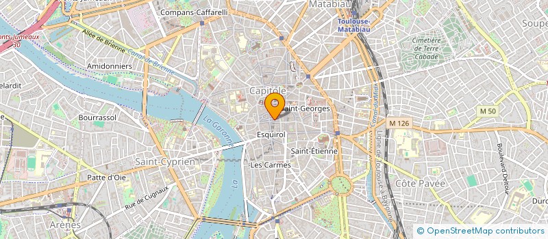 localisation de l'entreprise MONSIEUR TOM BARON  TOULOUSE