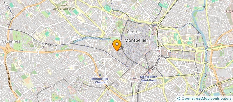 localisation de l'entreprise MONSIEUR TOM DELUCCHI à MONTPELLIER
