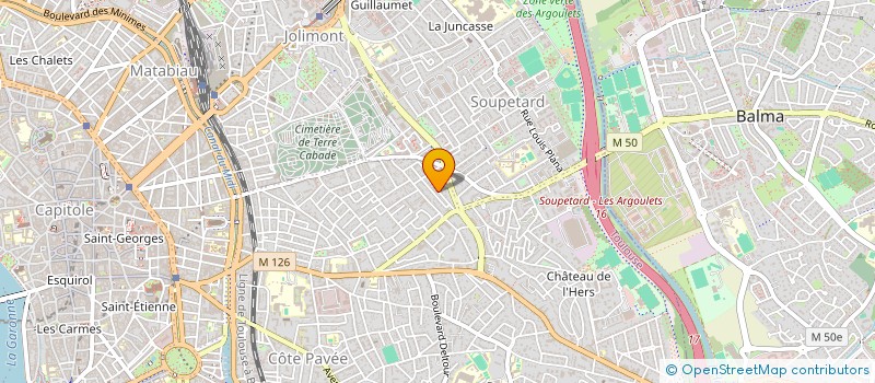 localisation de l'entreprise MONSIEUR TOM DUMAS  TOULOUSE