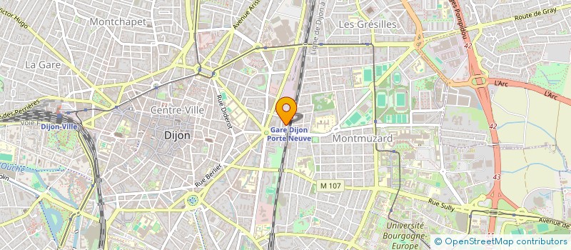 localisation de l'entreprise MONSIEUR TOM JANSSENS  DIJON