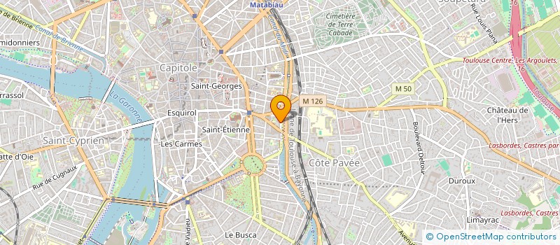 localisation de l'entreprise MONSIEUR TOM-JEAN BRINDAVOINE à TOULOUSE