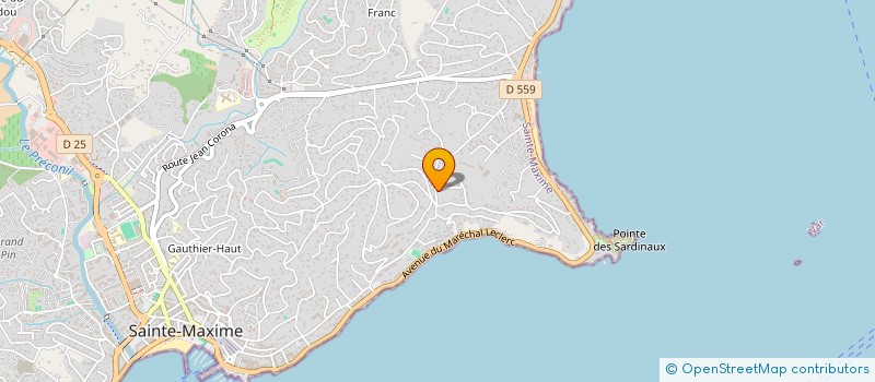 localisation de l'entreprise MONSIEUR TOM JONES  SAINTE-MAXIME