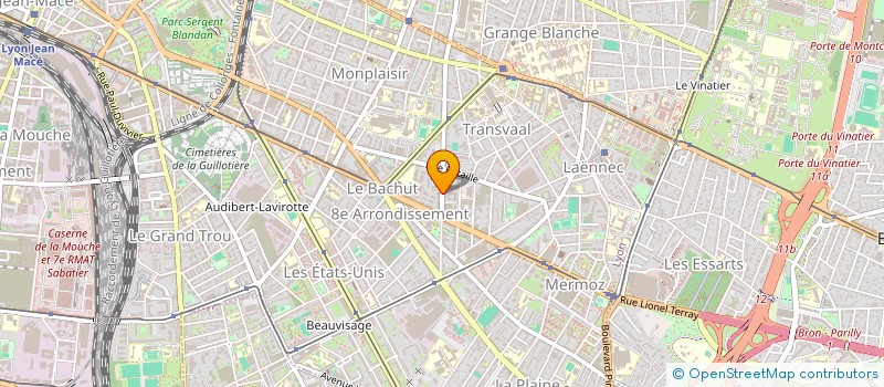 localisation de l'entreprise MONSIEUR TOM LESEUR  LYON