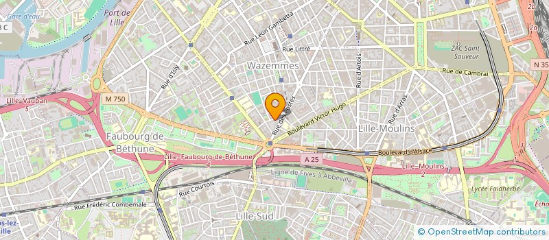 localisation de l'entreprise MONSIEUR TOM MALEZIEUX à LILLE