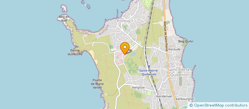 localisation de l'entreprise MONSIEUR TOM MALLARD  SAINT-PIERRE-QUIBERON