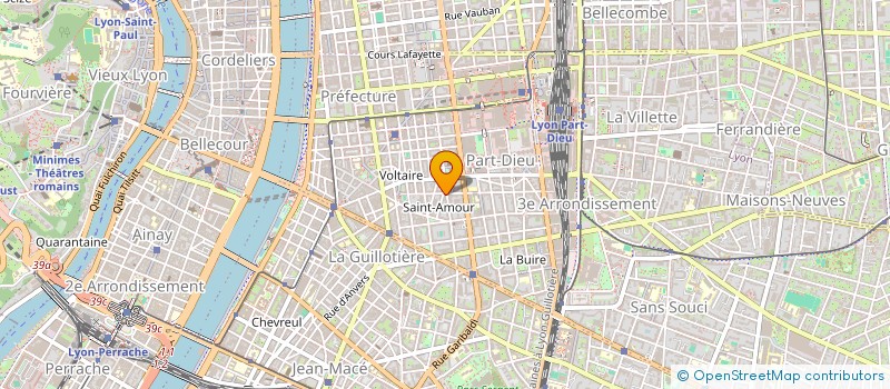 localisation de l'entreprise MONSIEUR TOM MASSON  LYON