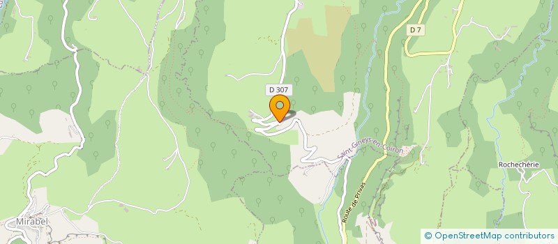 localisation de l'entreprise MONSIEUR TOM NIZET  SAINT-GINEYS-EN-COIRON