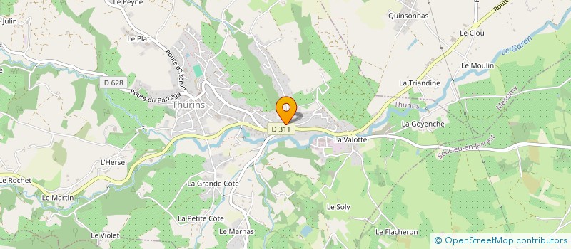 localisation de l'entreprise MONSIEUR TOM ORCEL  THURINS