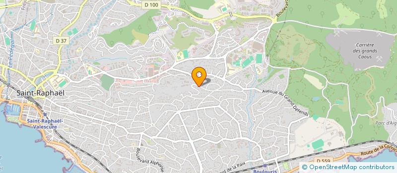 localisation de l'entreprise MONSIEUR TOM PIQUET  SAINT-RAPHAEL