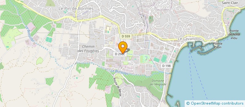 localisation de l'entreprise MONSIEUR TOM RIO  BORMES-LES-MIMOSAS