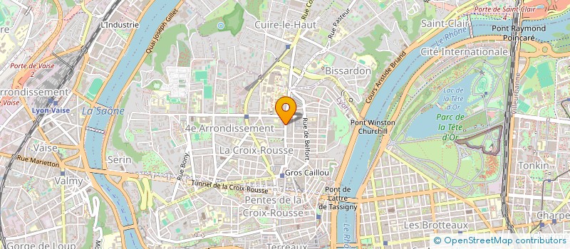 localisation de l'entreprise MONSIEUR TOM THIBAUDEAU  VILLEURBANNE