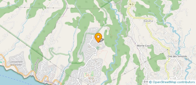 localisation de l'entreprise MONSIEUR TOMAS DOMINGUEZ PULIDO  FORT-DE-FRANCE