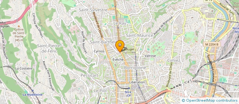 localisation de l'entreprise MONSIEUR TOMAS LICEK à NICE
