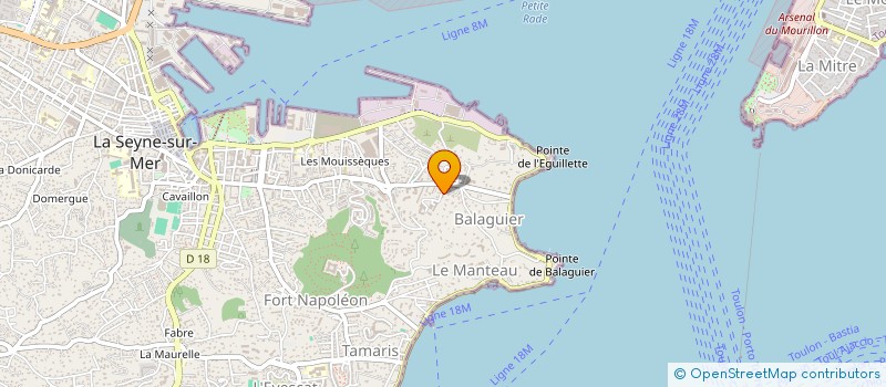 localisation de l'entreprise MONSIEUR TOMMASO RICCIOLO à LA SEYNE-SUR-MER