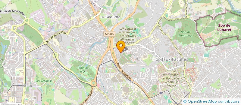 localisation de l'entreprise MONSIEUR TONI MOREAU à MONTPELLIER