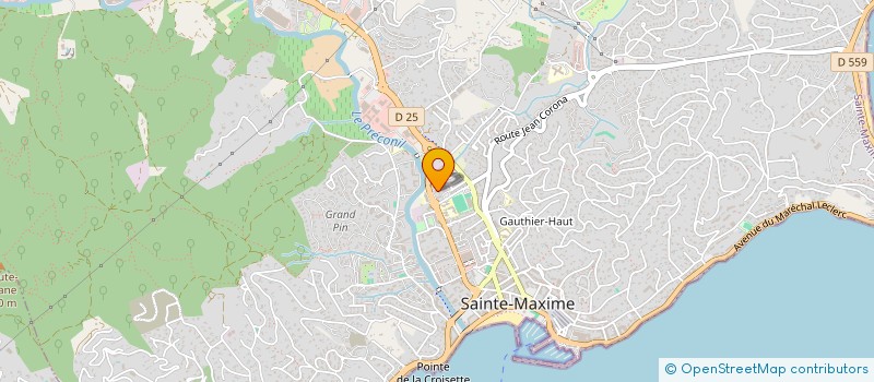 localisation de l'entreprise MONSIEUR TONI SCHETTINO  SAINTE-MAXIME
