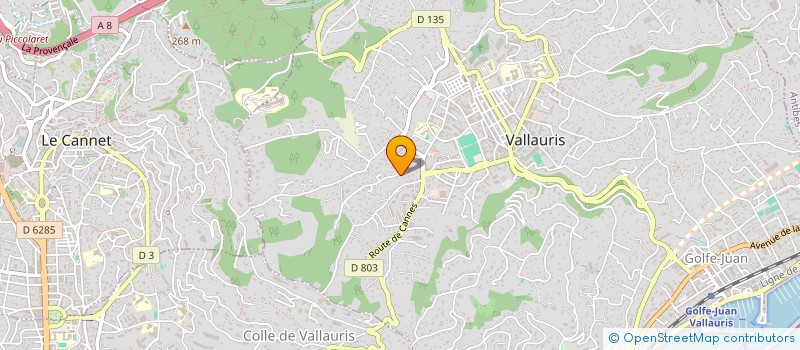 localisation de l'entreprise MONSIEUR TONY ALVES à VALLAURIS