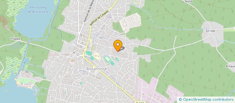 localisation de l'entreprise MONSIEUR TONY BASSOLE FONTANEAU  BISCARROSSE