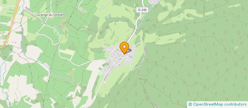 localisation de l'entreprise MONSIEUR TONY BORNARD  PUPILLIN