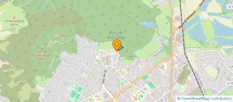 localisation de l'entreprise MONSIEUR TONY CALLEA  THIONVILLE