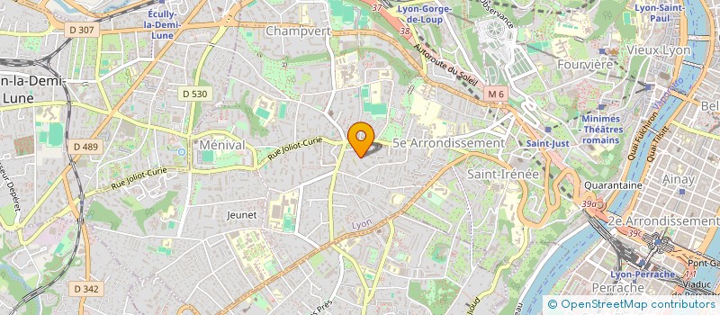 localisation de l'entreprise MONSIEUR TONY DA SILVA à LYON