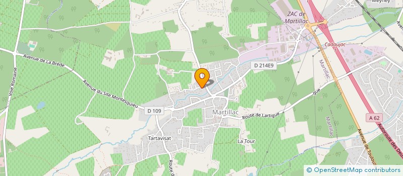 localisation de l'entreprise MONSIEUR TONY DARRIBERE  SAINT-SELVE