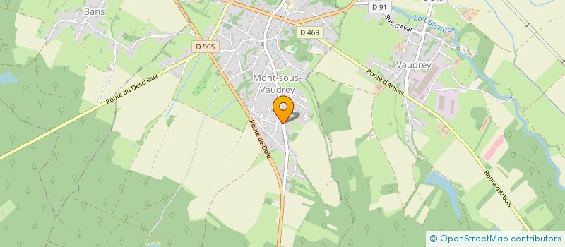 localisation de l'entreprise MONSIEUR TONY DELEU  MONT-SOUS-VAUDREY