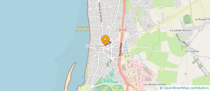 localisation de l'entreprise MONSIEUR TONY FROISSARD à SAINT-BREVIN-LES-PINS