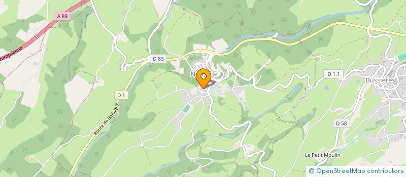 localisation de l'entreprise MONSIEUR TONY GRISARD  NERONDE