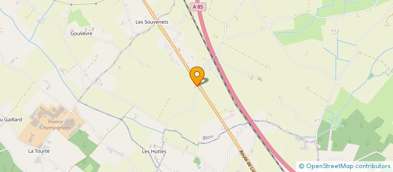 localisation de l'entreprise MONSIEUR TONY GUERIN  BLOU