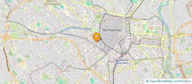 localisation de l'entreprise MONSIEUR TONY IDEMUDIA à MONTPELLIER