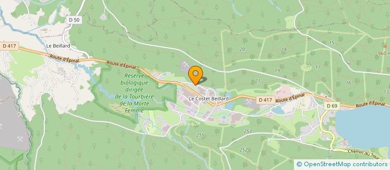 localisation de l'entreprise MONSIEUR TONY JEANGEORGES  GERARDMER