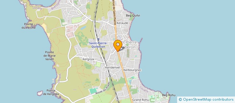 localisation de l'entreprise MONSIEUR TONY JINVRESSE  SAINT-PIERRE-QUIBERON