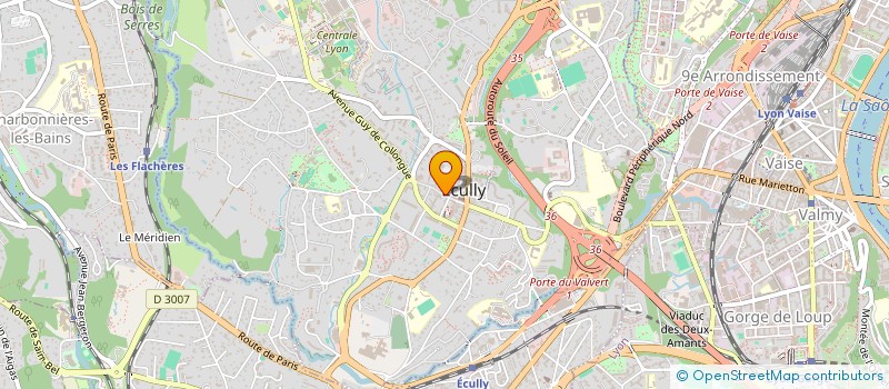 localisation de l'entreprise MONSIEUR TONY LABORIER  ECULLY