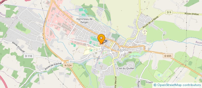 localisation de l'entreprise MONSIEUR TONY LE GUEN  BAZAS