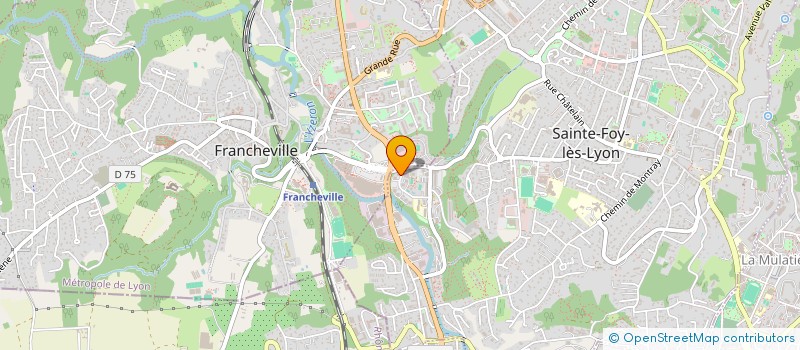 localisation de l'entreprise MONSIEUR TONY MENIS  SAINTE-FOY-LES-LYON