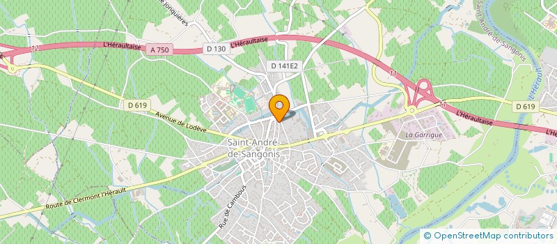 localisation de l'entreprise MONSIEUR TONY NOGUERAS  SAINT-ANDRE-DE-SANGONIS