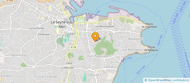 localisation de l'entreprise MONSIEUR TONY RICIGLIANO à LA SEYNE-SUR-MER
