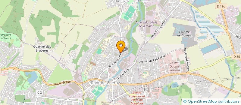 localisation de l'entreprise MONSIEUR TONY RIZZONE  PONT-DE-CHERUY