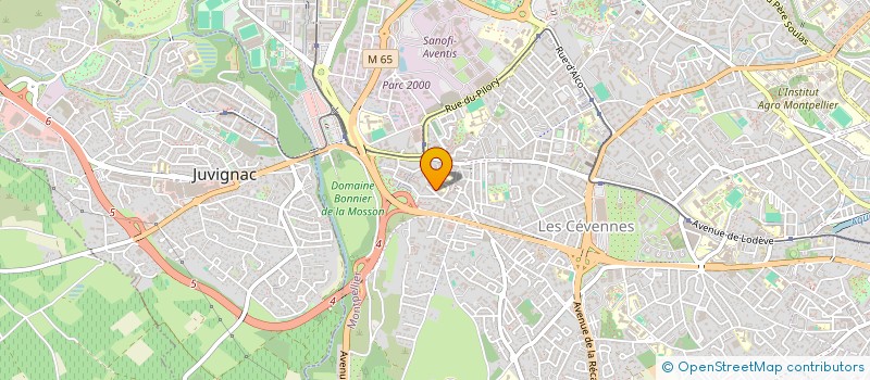 localisation de l'entreprise MONSIEUR TONY RONDINAUD  MONTPELLIER