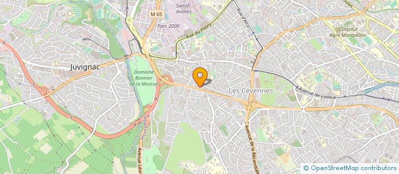 localisation de l'entreprise MONSIEUR TONY ROQUEFERE à MONTPELLIER