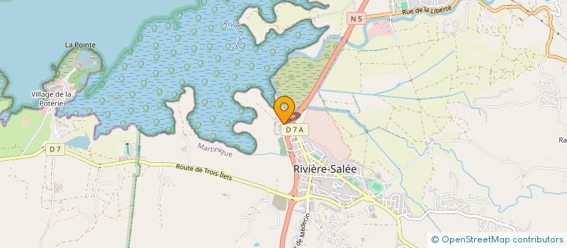 localisation de l'entreprise MONSIEUR TONY ROSINE à RIVIERE-SALEE