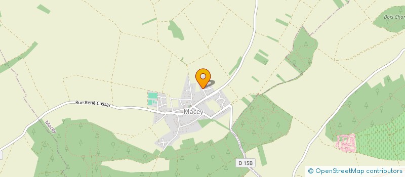 localisation de l'entreprise MONSIEUR TONY SAUVAGE  MACEY