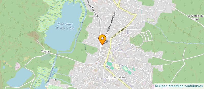 localisation de l'entreprise MONSIEUR TONY SENECHAL  BISCARROSSE