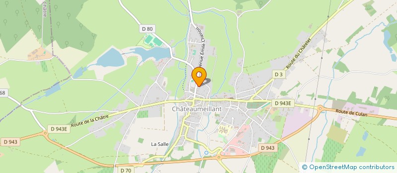 localisation de l'entreprise MONSIEUR TONY TARDIVAUD  CHATEAUMEILLANT